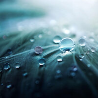 Under Shelter Strong Rains - Alpha Brain Waves & Musica Reiki & Water Soundscapes