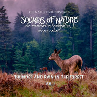 Noise of the Rain - The Nature Soundscapes & Worldwide Nature Studios & Nature's Noise