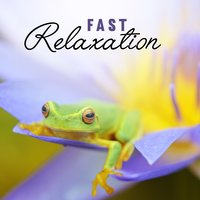 Total Relax Now - Relaxing Music Guys