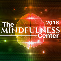 Quite Contemplation - Mindful Meditation