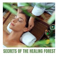 Spa Ambiance Music - Spa Music Collective & Massage Music Masters & Pure Relaxing Spa Music