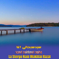 Ghamkhwar Da Ulas - Syed subhani Agha