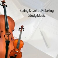 String Quartet Relaxing, Study Music - Violin Music & Violins & Violin Cello Zone