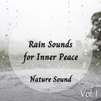 Classical Piano Rainstorm - The Rain Factory & Cat Music Therapy & Rain and Chill