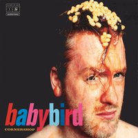 Death of the Neighbourhood II - Babybird & Stephen Jones