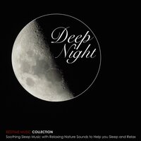 Deep Night - Every Night Alder