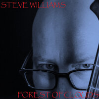 Menace - Steve Williams