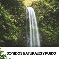 Silencio Hidratante y Bello - Ruido Blanco Hart & The Nature Soundscapes & Focus Chamber
