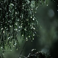 Traffic Rain - Relaxing Nature Sounds Collection & Heavy Rain Sounds & Natural Nature Makers