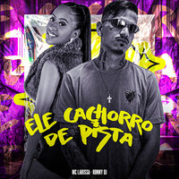 Ele Cachorro de Pista - RONNY DJ & mc larissa