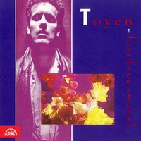 Falling Higher - Toyen