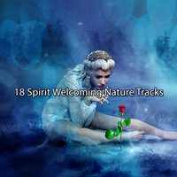 Hike Through Nature - Nature Ambience