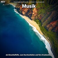 Genuss im Wind - Entspannungsmusik Viktoria Lobe & Schlafmusik & Entspannungsmusik