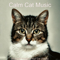 Background for Relaxing Your Cat - Calm Cat Music