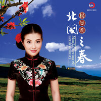 云河 - 杨曼莉
