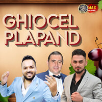 FIECARE OM PE LUME - SORINEL DE LA PLOPENI & Marius Gheorghe & Vali de la Ploiesti