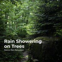 Rain Pouring on Grass - Rain Recorders & Rainfall & Nature Rain Relaxation