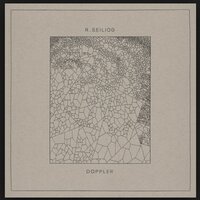 Neigwl Vacuums - R. Seiliog