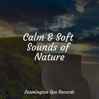 Sea Whispers - Sound of Rain & Meditation Music Experience & Active Baby Music Workshop