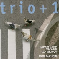 Baianinho - Benjamim Taubkin