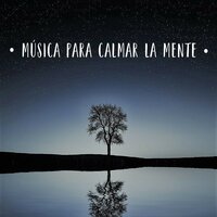Música Instrumental para Descansar y Desconectar - Dormir Profundamente