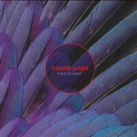 Night In Tunisia - Frank Brodahl & Eckhard Baur & Frode Berg
