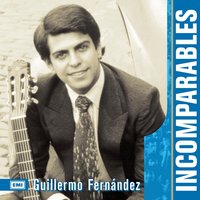 Cuando Tu No Estas - Guillermo Fernandez