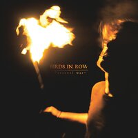 Intro - Birds In Row