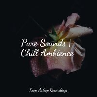 Soft Wave Movement - Study Music & Binaural Beats Brain Waves Isochronic Tones Brainwave Entrainment & Zarobi