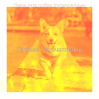 Звуки (Милые Собаки) - Джаз для собак Курирование