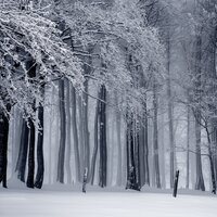 One Blistery Day - Christmas Song, Sounds of Nature White Noise Sound Effects, Bossa Cafe en Ibiza & Bossa Cafe en Ibiza & Sounds of Nature White Noise Sound Effects & Christmas Song