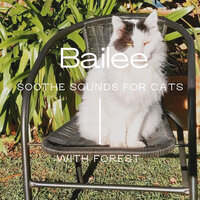 Bailee - Forest