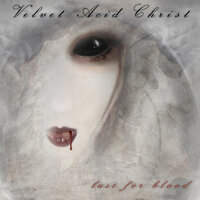 Kashmir Crack Krishna - Velvet Acid Christ