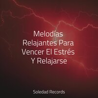 Inhala Y Exhala - Unidad de música zen relajante & Canciones Infantiles Para Niños & Mantra para Dormir