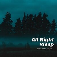 Mizore - Ambient Chill Sleepers