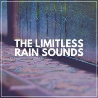 Droplets - Rainfall Meditations