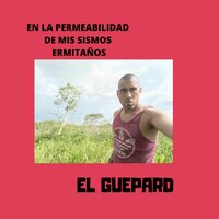 Maquina De Preparar Sismos De ermitaño - el guepard