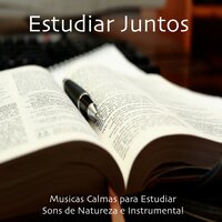 Nas Estrelas (Musica New Age) - Musicas para Estudar Collective