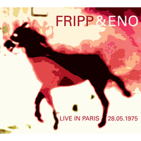 Loop Only: Wind On Water Reversed - Robert Fripp & Brian Eno