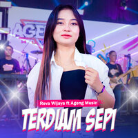 Terdiam Sepi - Reva Wijaya & Ageng Music