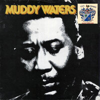 She Moves me - Muddy Waters