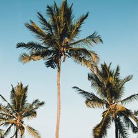 Sinfonía De Susurros Marinos - Academia de Relaxamento e Meditação & Sonidos de la Naturaleza Relajacion & Relajante