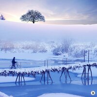 Animals encountered in nature - BGM Teacher