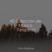 Niño Salvaje - Sueño Lucido & Masaje Tantrico Musica Colección & Meditação Yoga Maestro