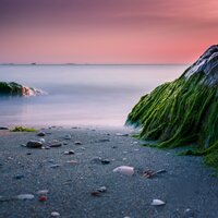 Harmony of the Fairies - Muse K