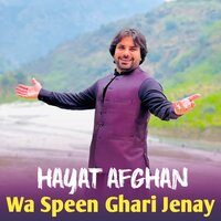 Wa Da ghari Lawangeena - Hayat Afghan