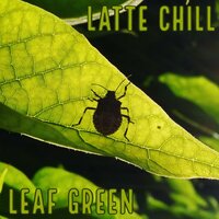 Lavender - Latte Chill