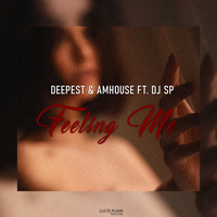 Feeling Me - Deepest & AMHouse & DJ SP