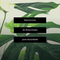 Calma Interior - Calmar la Ansiedad