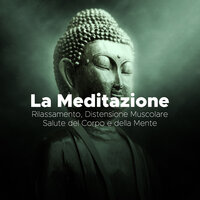 Musica di Sottofondo Rilassante - Beijing Express